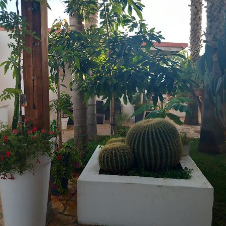 Villa Raggio Di Sole Parcheggio Privato Porto Cesareo Zewnętrze zdjęcie