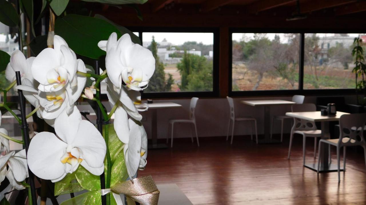 Villa Raggio Di Sole Parcheggio Privato Porto Cesareo Zewnętrze zdjęcie